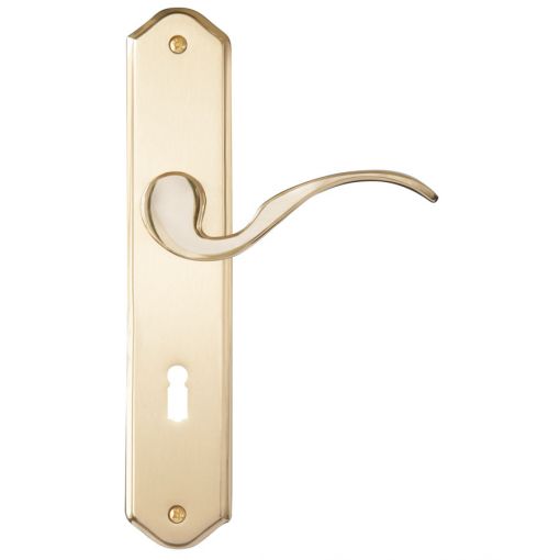 Griffwelt Langschild-Garnitur Carrara Messing poliert-matt 2